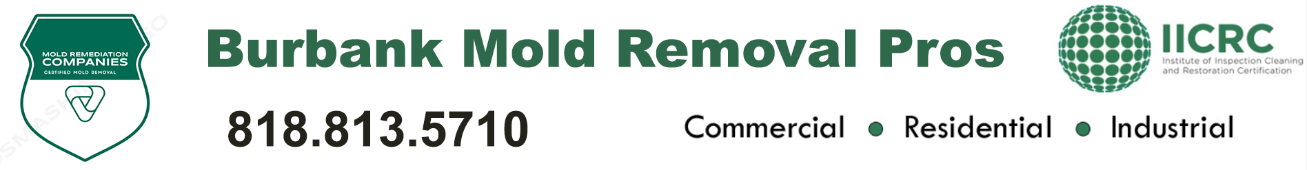 Burbank Mold Removal Pros